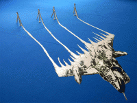 21_dscn1102mieux.gif